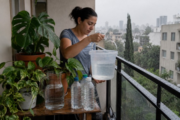 Agua de Lluvia para Regar Plantas de Casa: Ventajas y Consejos